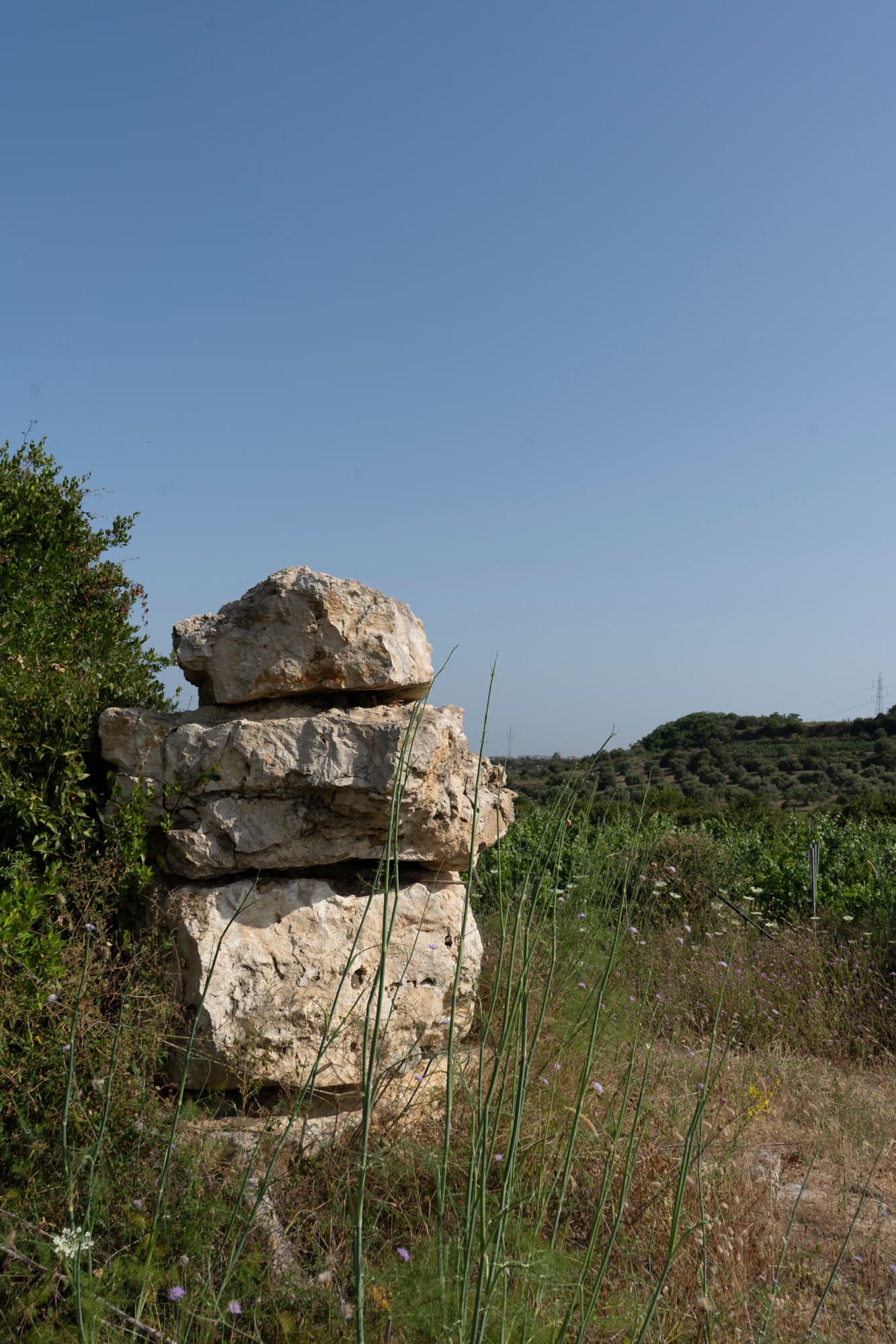 Processo di Produzione